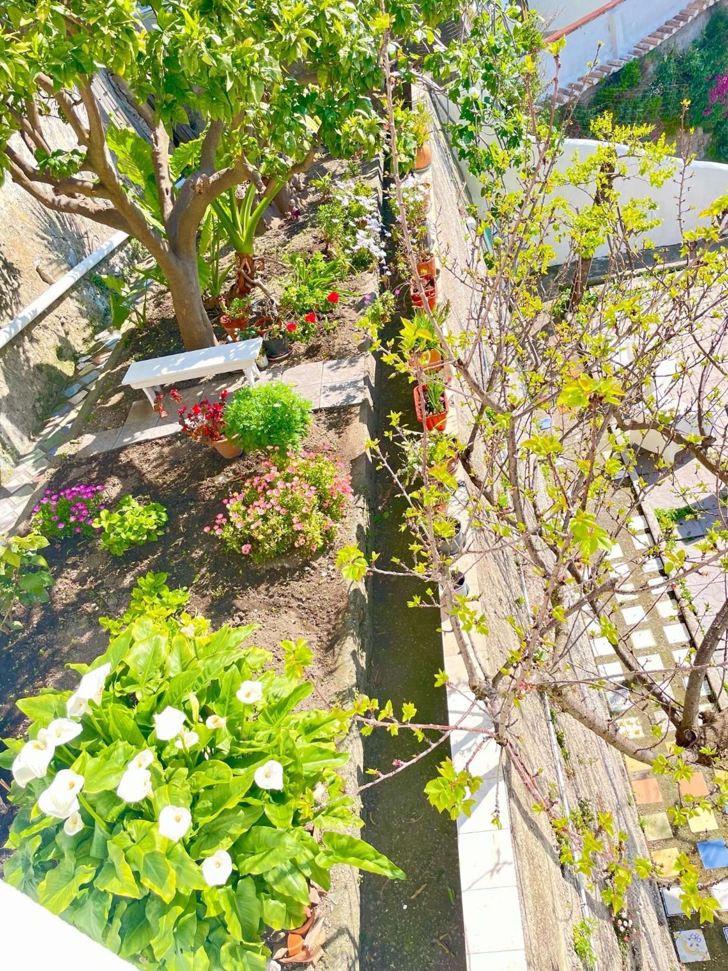 Apartmán Borgo Virginia - Sea View In Amalfi Coast Vietri Exteriér fotografie